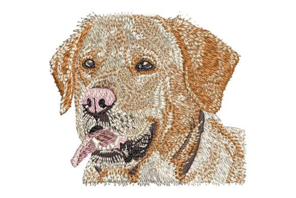 Yellow Labrador Retriever Embroidery Review